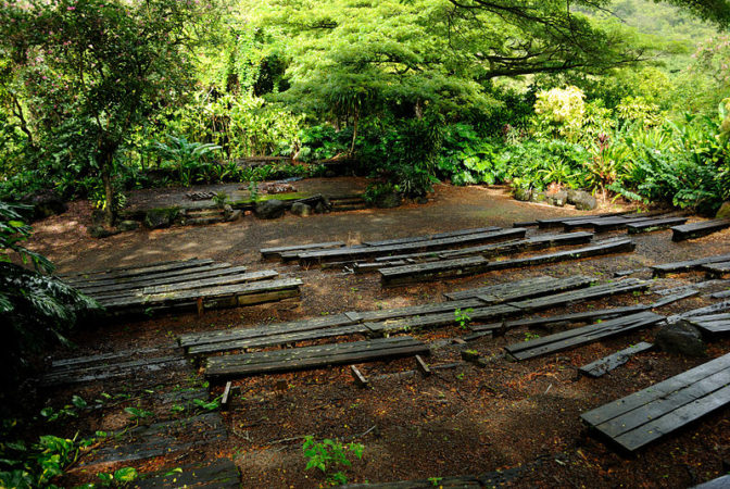 An abandoned theatre in the woods, rotting and overgrown with plants
